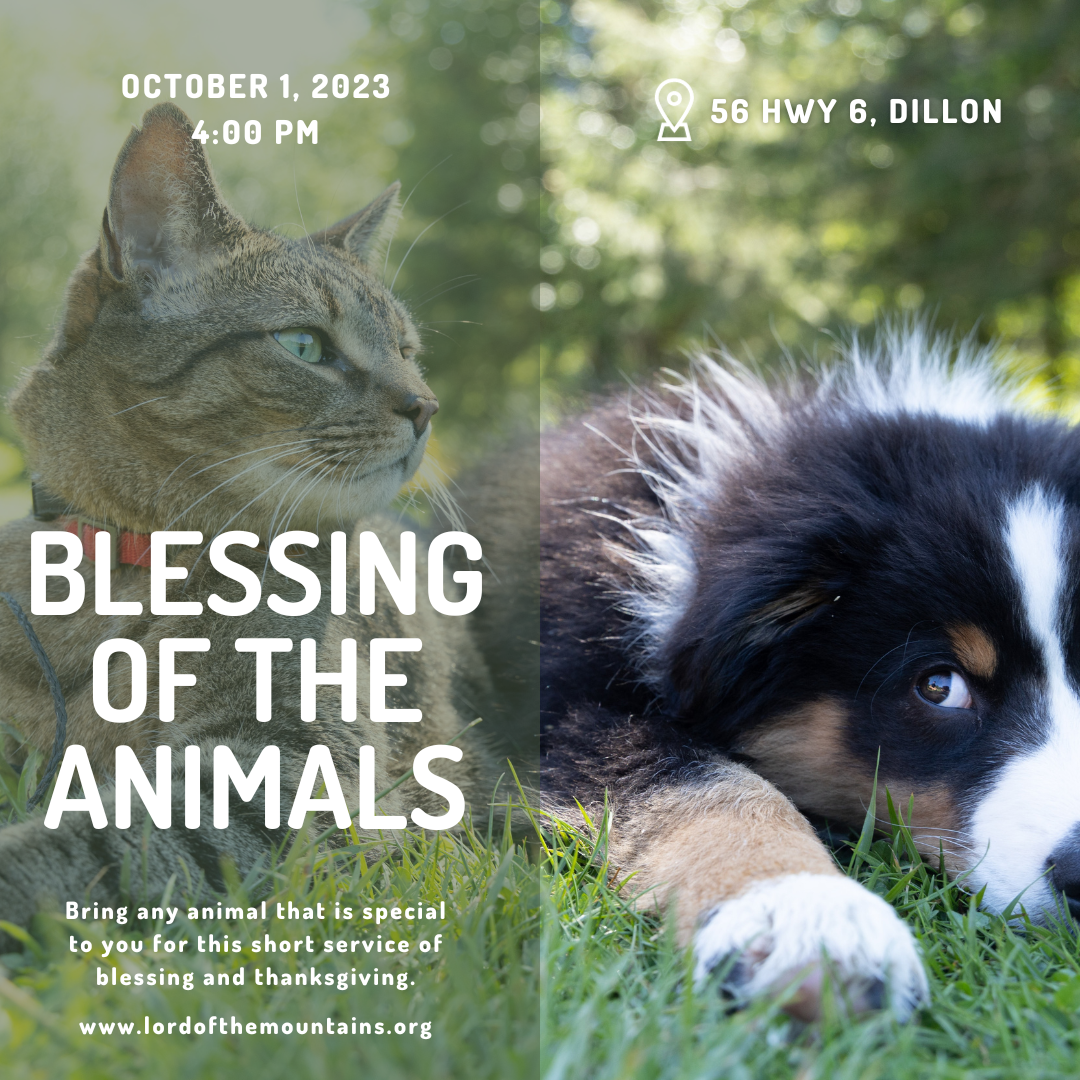 Blessing of the Animals