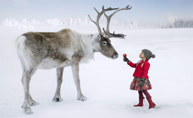 Christmas reindeer and girl