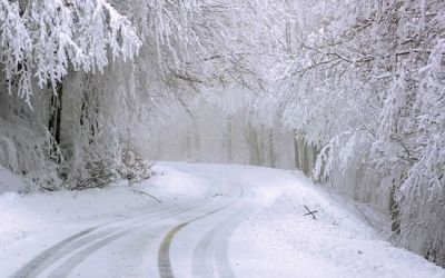 Scary Snowy Drive